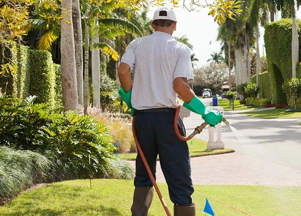 About Kenney IL Pest Control